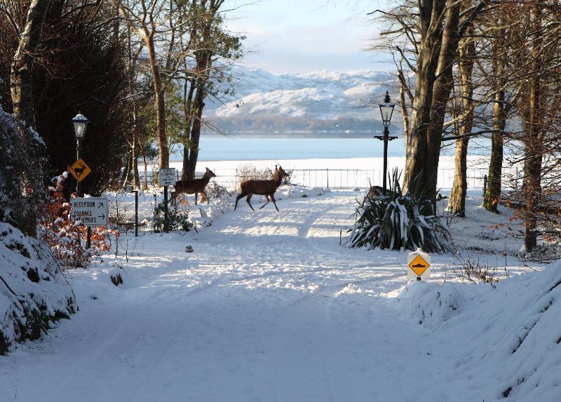Lake Lodge Guesthouse Killarney Exterior foto